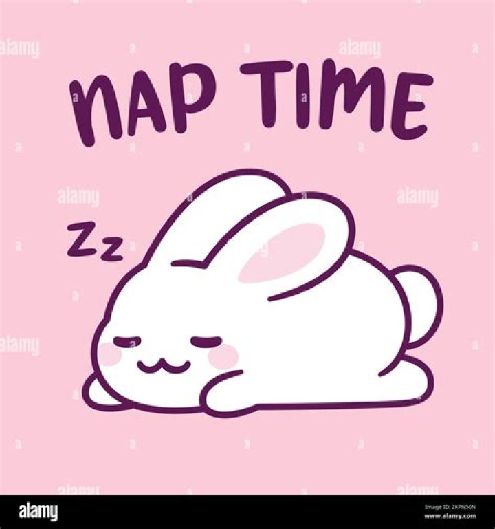 How do you enforce a puppy's nap time?