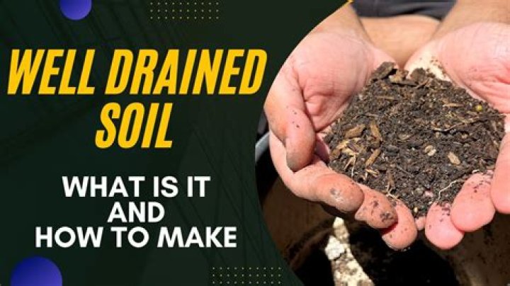 How do you ensure soil is well drained?