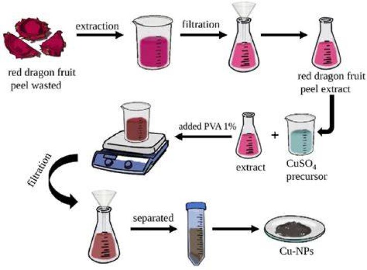 How do you extract pigments from beets?