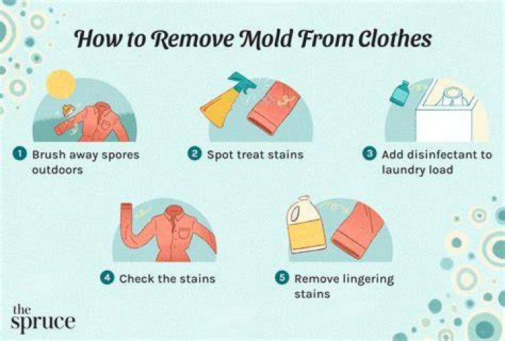How do you get rid of mold without bleach?