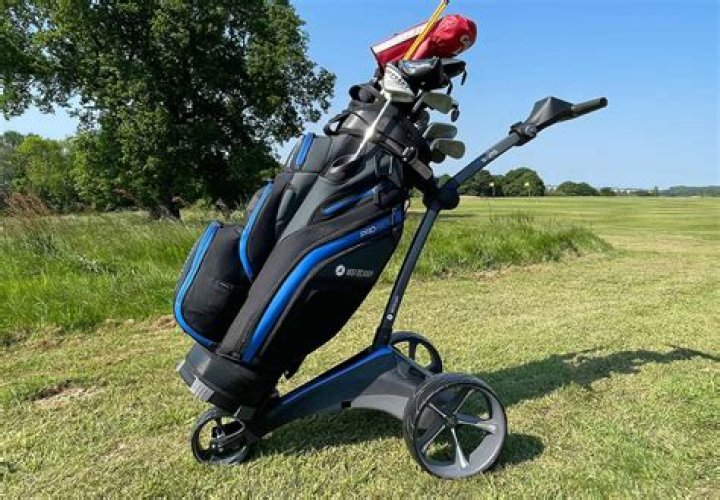 How does a golf caddy work?