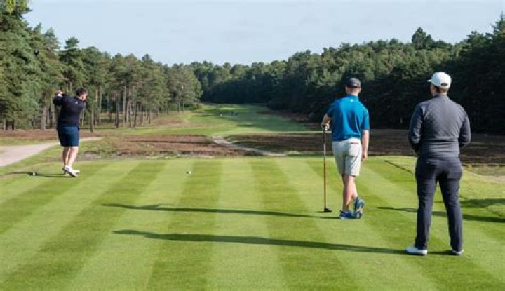 How does a Skins game work in golf?