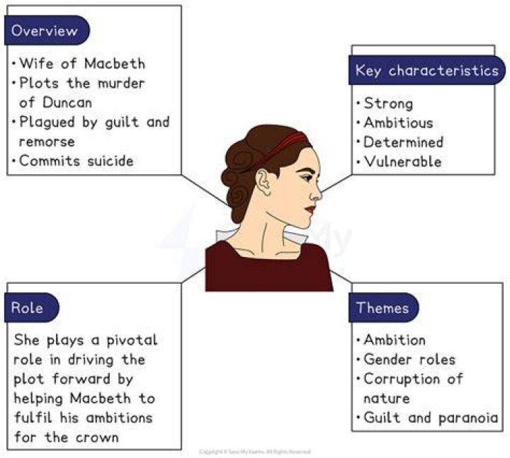 How does Lady Macbeth persuade her husband to go through with the plan of killing the king?