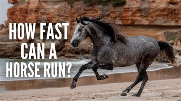 How fast can Salah run?