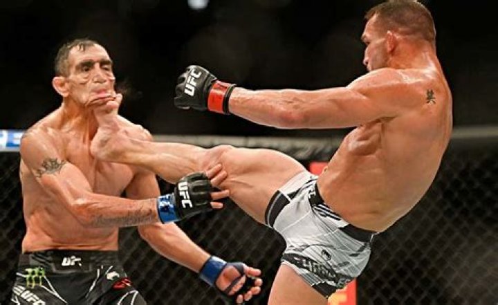 How hard can a UFC fighter kick?