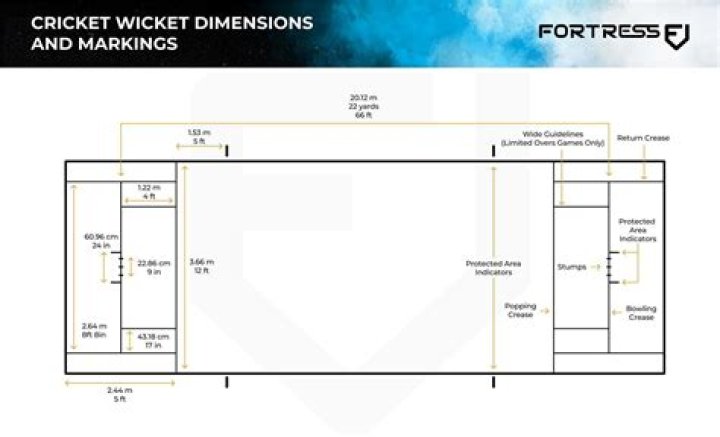 How long is a cricket wicket in feet?