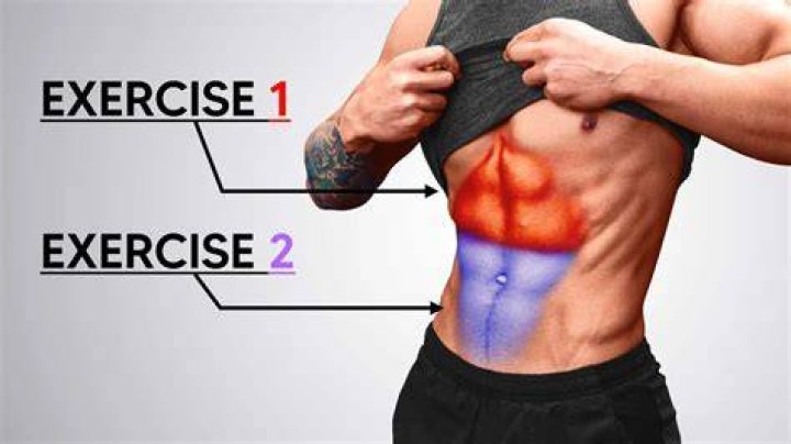 How many abs does a human have?