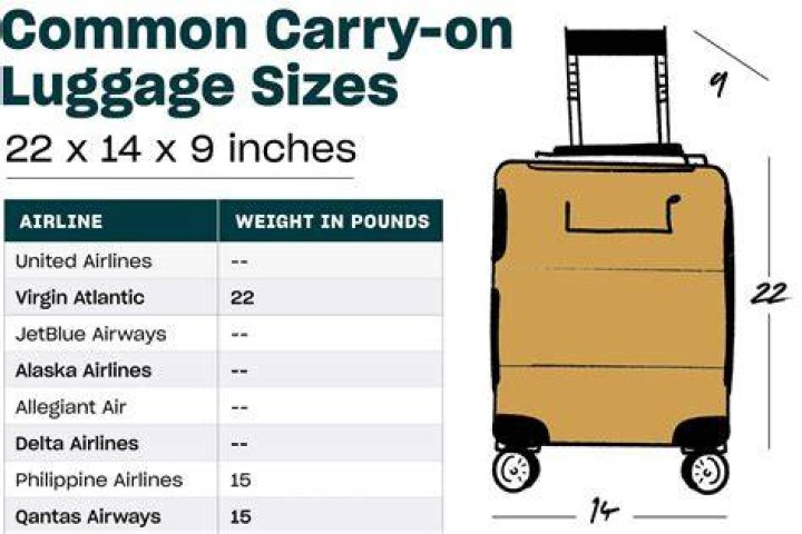 How many bags can you take on a plane?