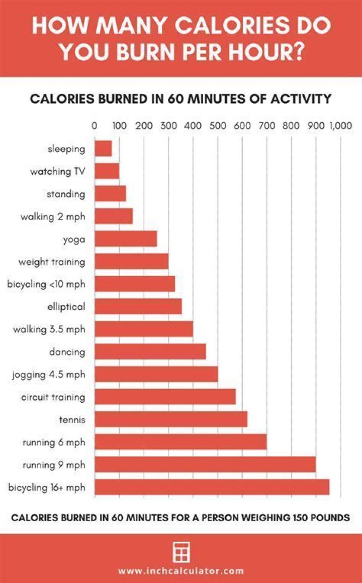 How many calories a day does bikepacking burn?