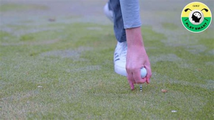 How many golfers are single figure?