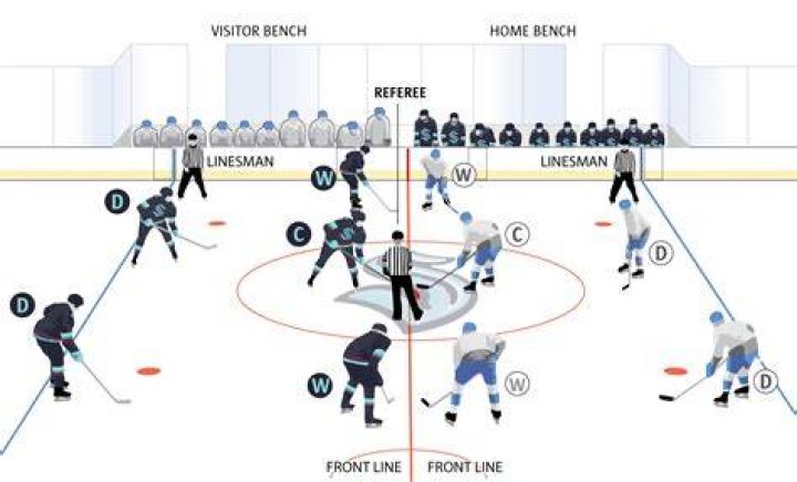 How many hockey players suit up for a game?