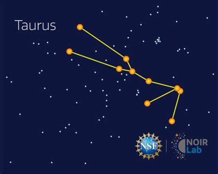 How many murders are Taurus?
