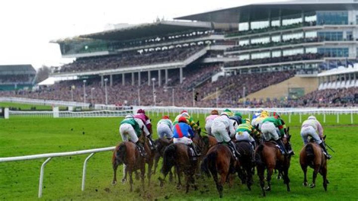 How many racecourses does The Jockey Club own?