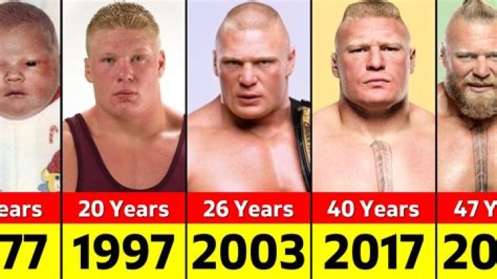 How many times did Cena face Brock Lesnar?