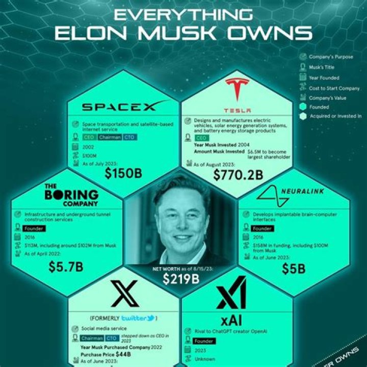 How much did Elon Musk make in 2020?