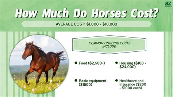 How much do skiers cost?