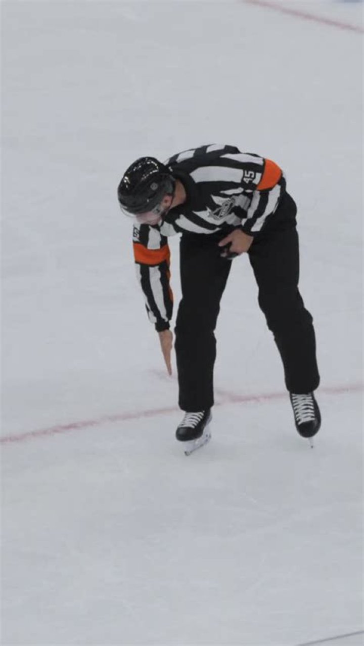 How much does a NHL ref make?