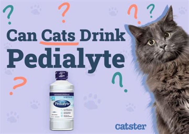 How much Pedialyte can a cat have?