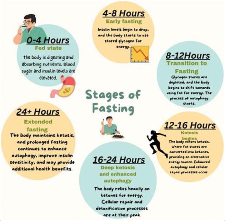 How often should you 24 hour fast?