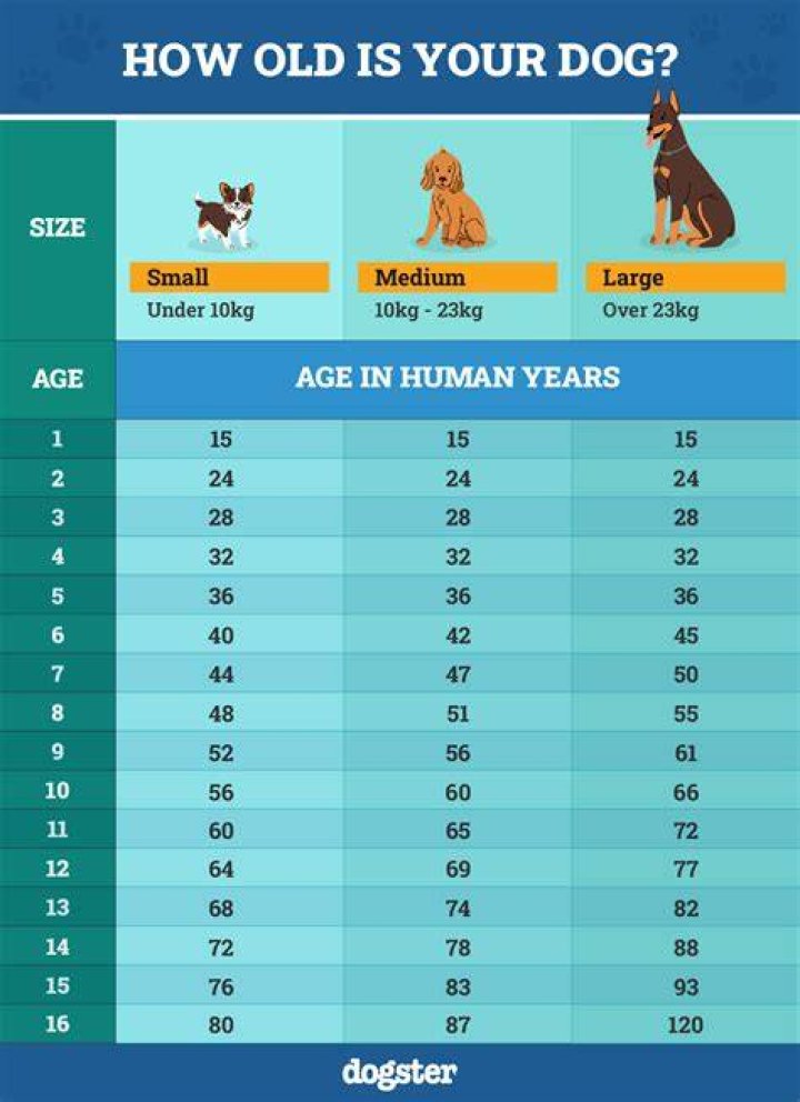 How old are FIFA ReGens?