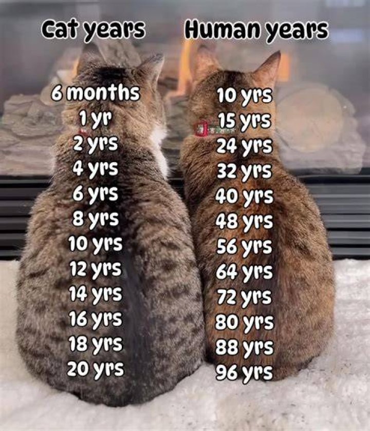 How old is an e9?