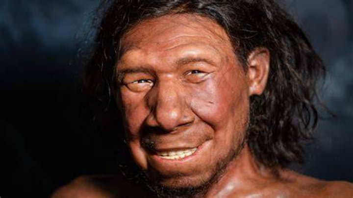 How strong is a Neanderthal?