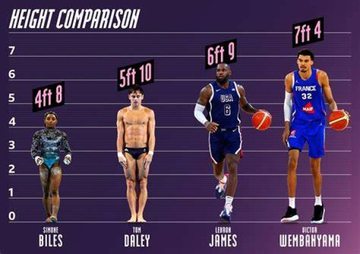How tall is a basketball ball?