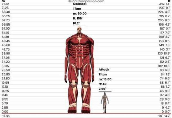 How tall is the colossal Titan?