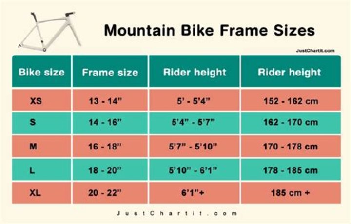 How tall should you be for a 29 inch bike?
