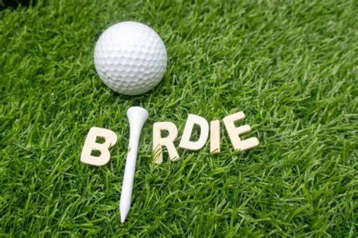 Is a birdie 2 shots?