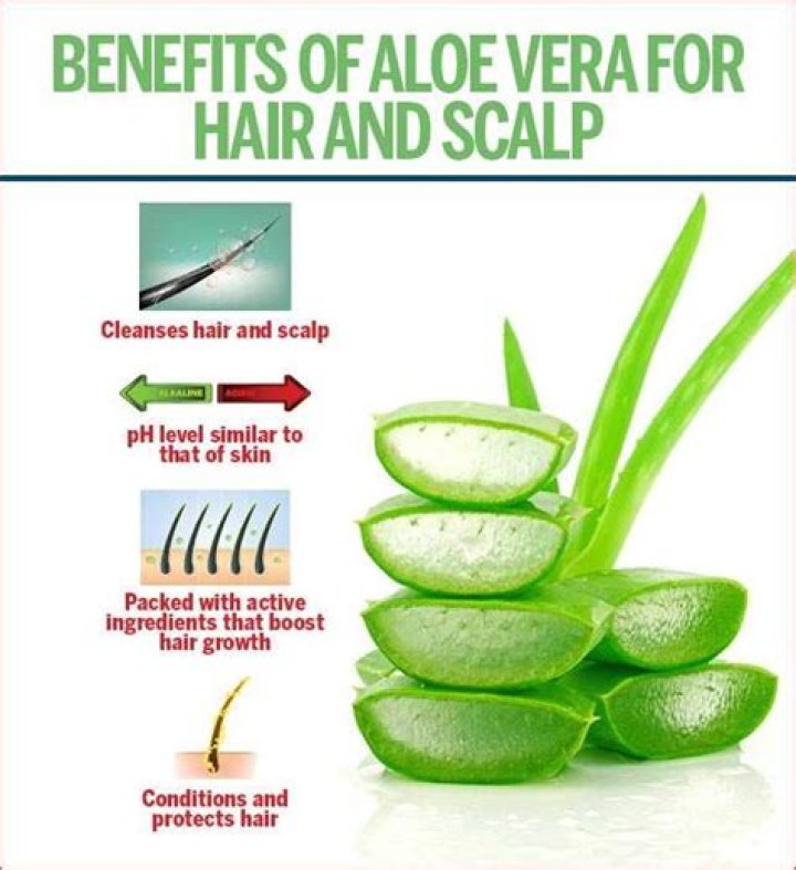 Is aloe vera good for hair?