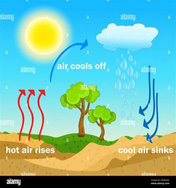 Is ashwagandha hot or cold?