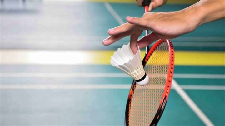 Is badminton and shuttlecock same?