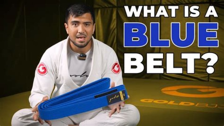 Is blue belt in BJJ good?
