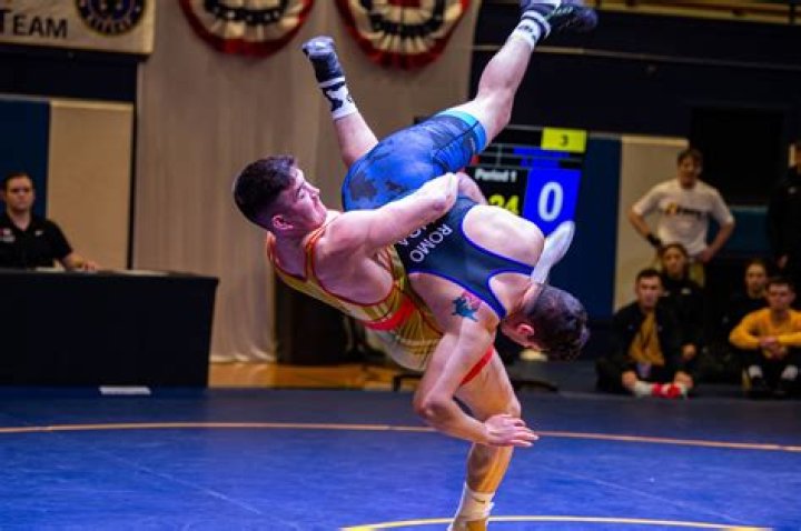 Is freestyle wrestling a martial art?
