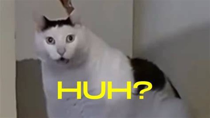 Is Huh a question?