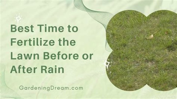 Is it better to mow lawn before or after rain?