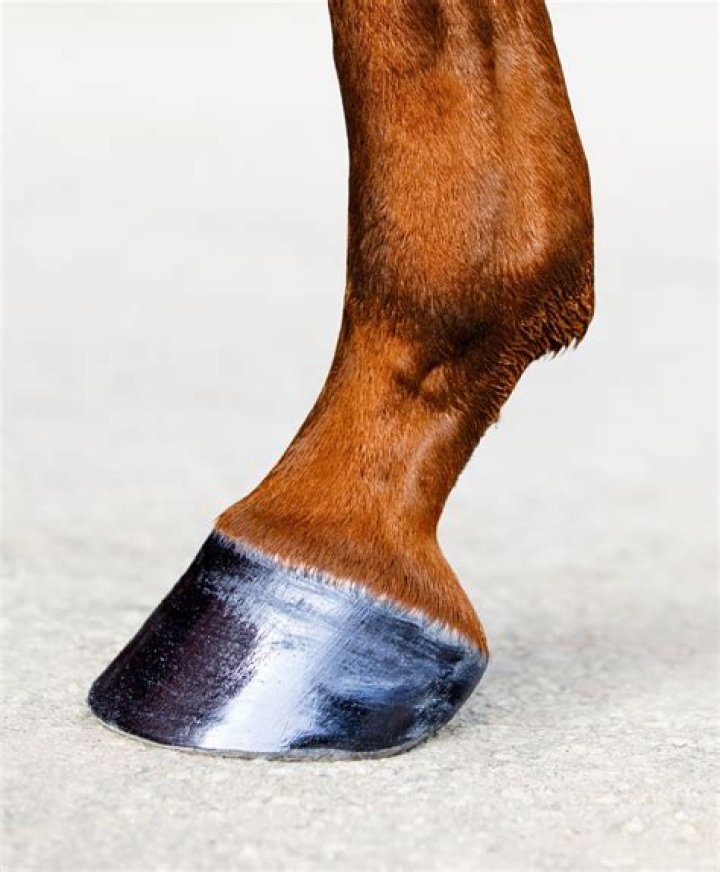 Is Jello still made from hooves?