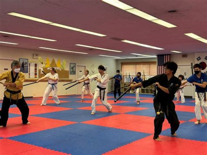 Is MMA its own martial art?