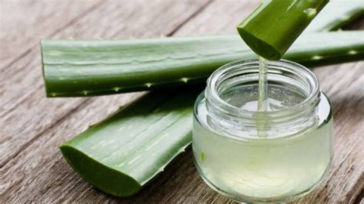 Is raw aloe vera carcinogenic?