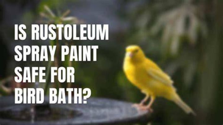 Is Rustoleum spray paint safe for bird baths?