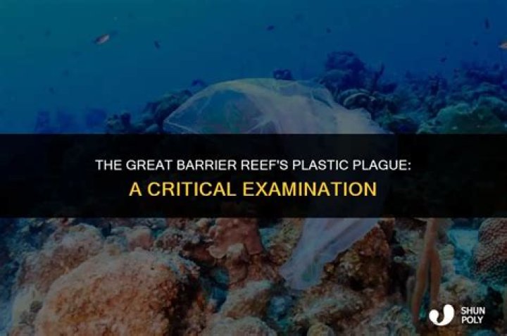 Is the Great Barrier Reef dying because of plastic?