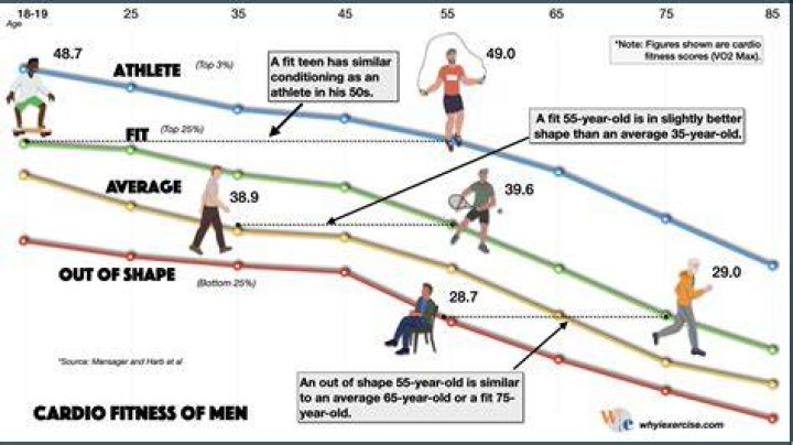 What's a good fitness score on TrainingPeaks?