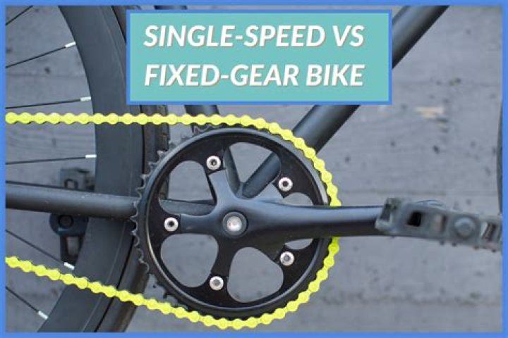 What's the difference between single speed and fixed-gear?