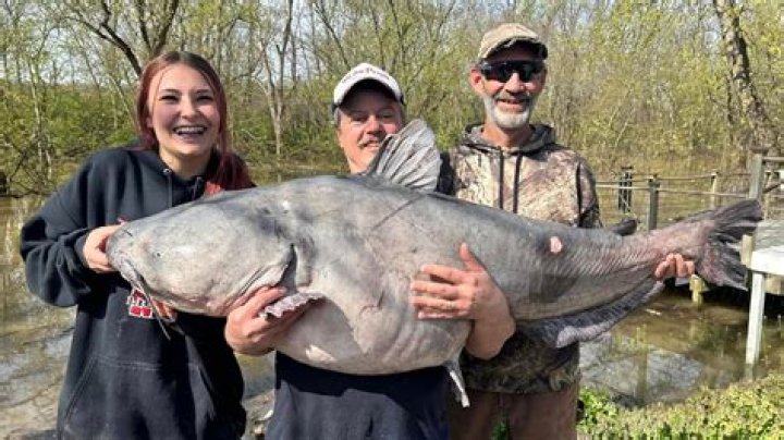 What's with the Catfish in Nashville?