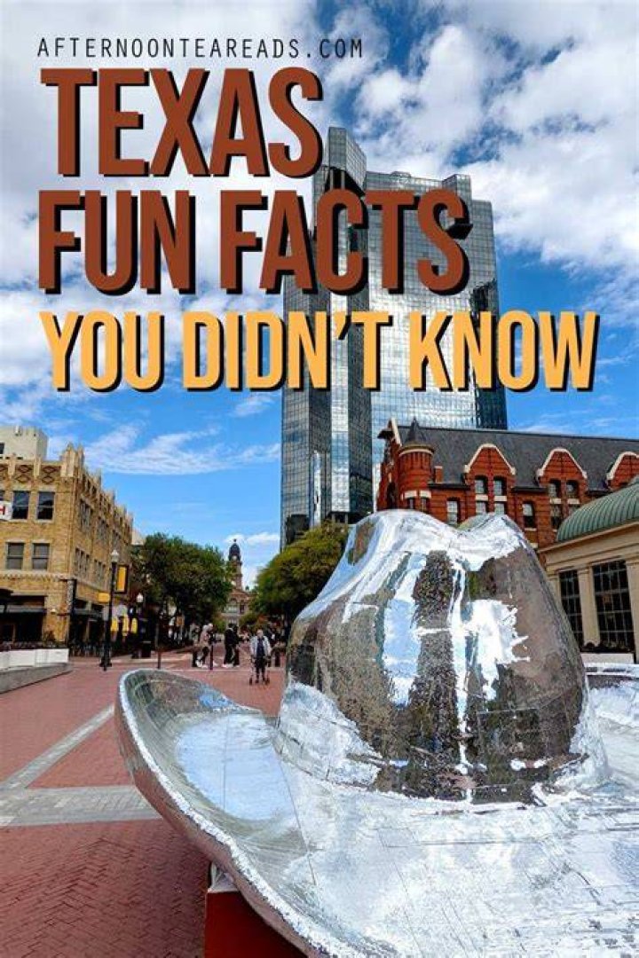 What are 2 interesting facts about Texas A&M?