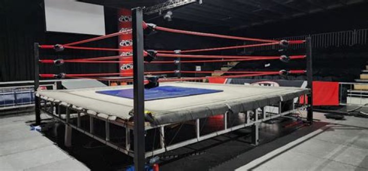 What are chops in wrestling?