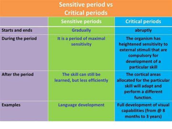 What are examples of a critical period and a sensitive period of development?