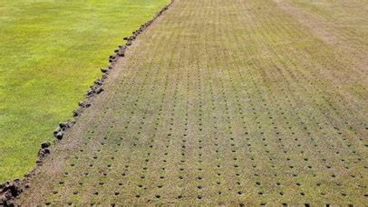 What are temporary greens?