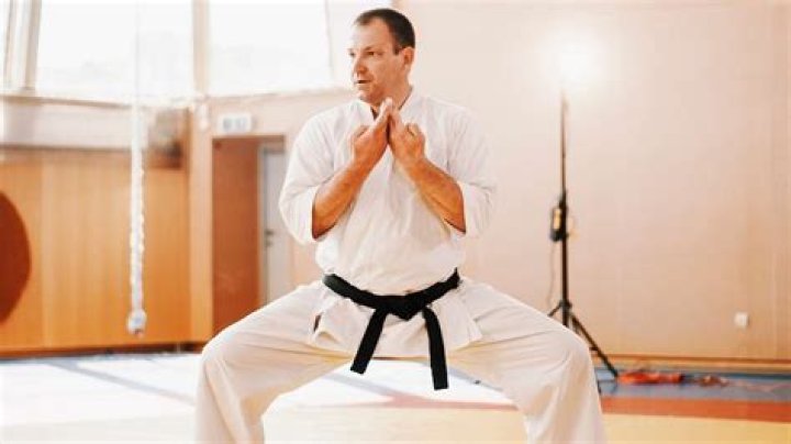 What are the 4 main types of karate?
